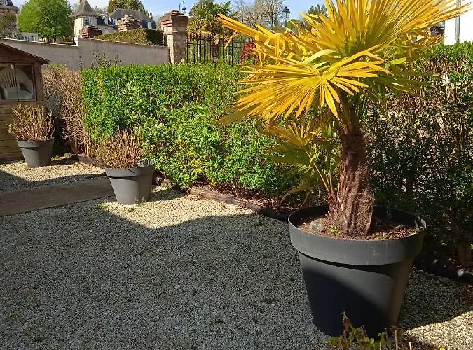 Appartamento 10, Très Bien Placé, Parking Wifi Gratuit *